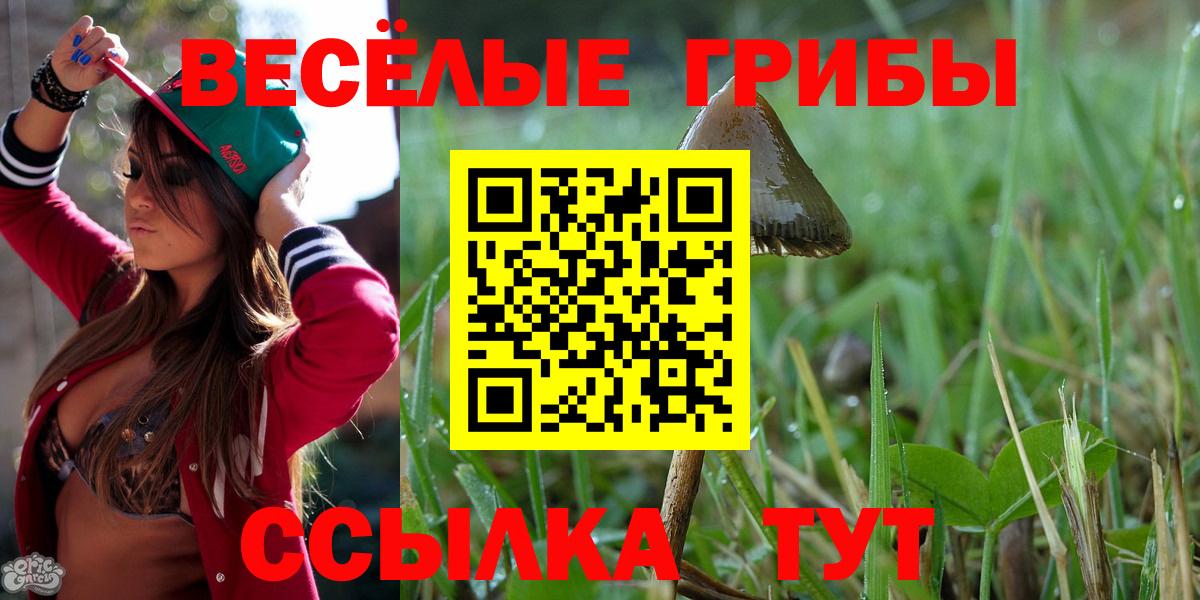 Псилоцибиновые грибы Magic Shrooms  Псилоцибиновые грибы мухоморы  Вход с VPN  Новоуральск 